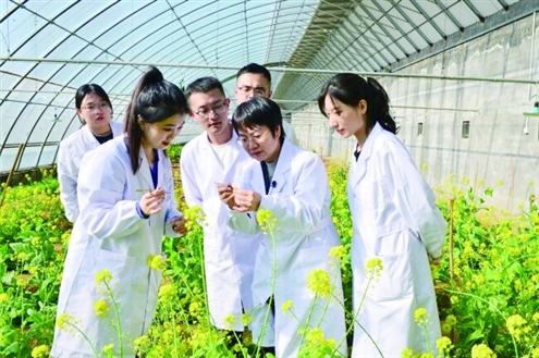 山东农业大学园艺科学与工程学院教授段巧红(右二)